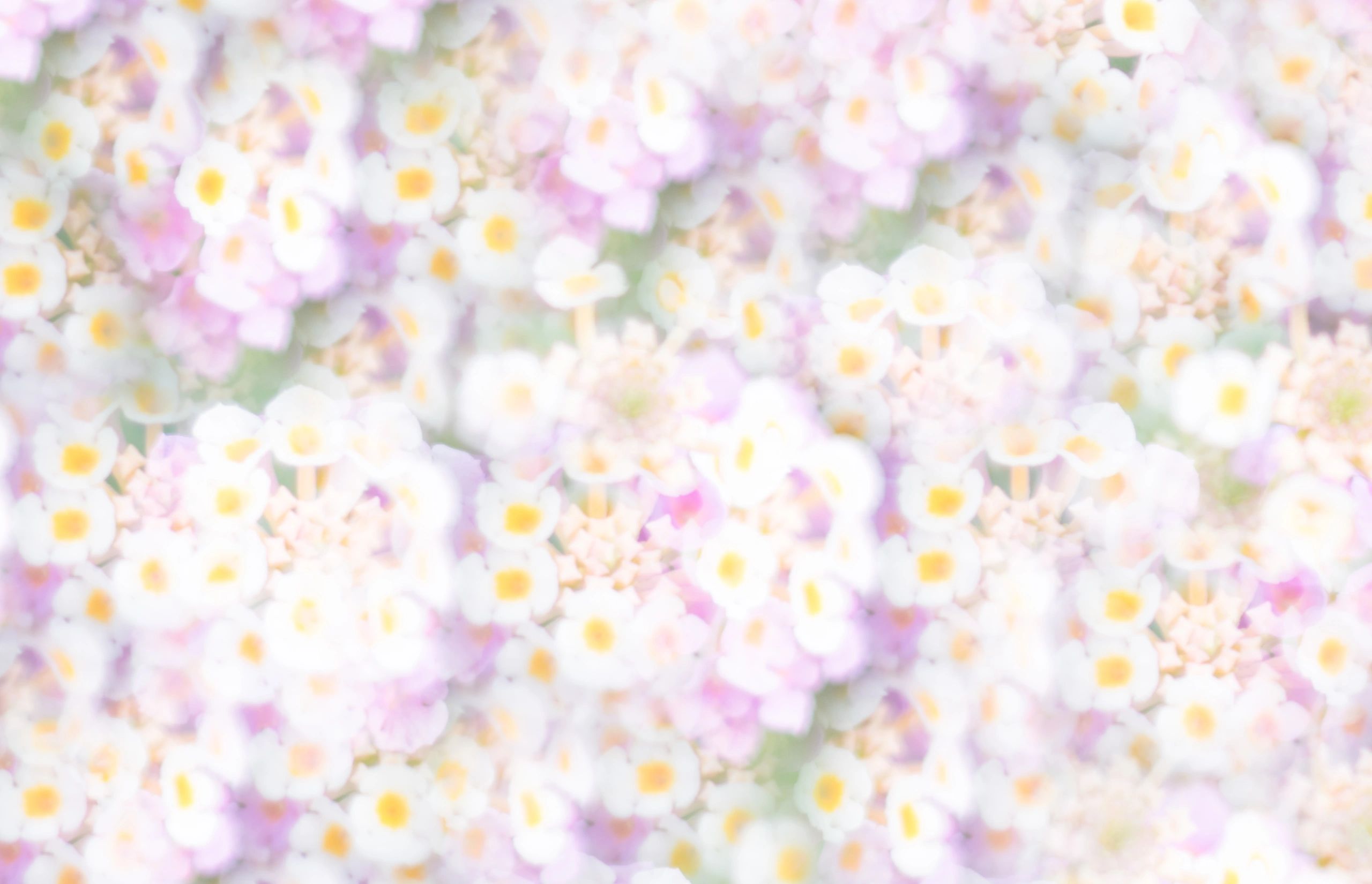 Pastel floral wall in soft memorial tones