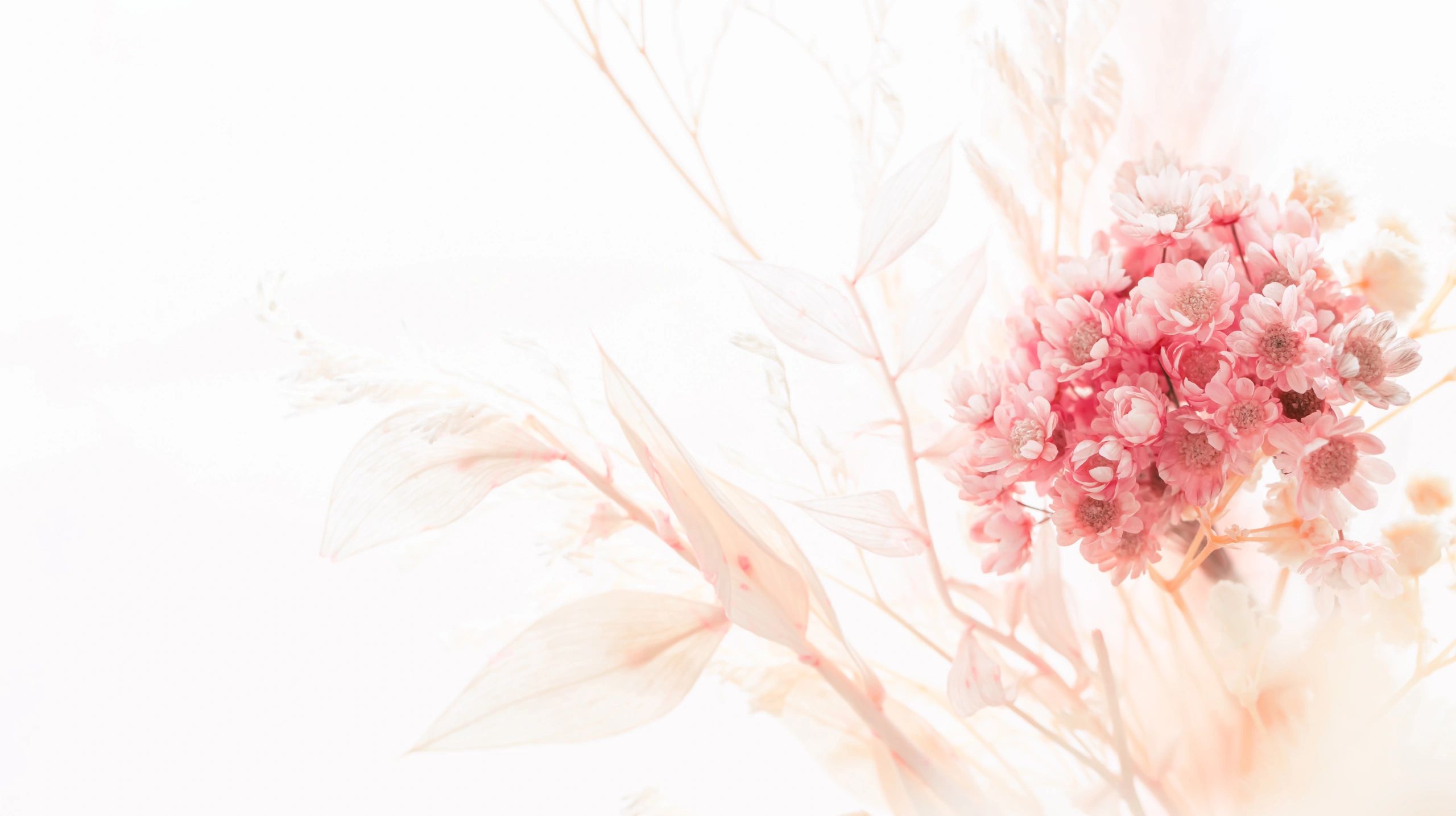 Soft pink bouquet with delicate flowers